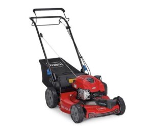 Toro Recycler SmartStow FWD Mower 150cc Briggs & Stratton 6.25 TP (22″) #21445
