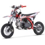 TrailMaster TM10 110cc Automatic 4-Stroke Dirt Bike