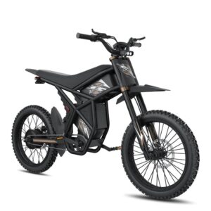 Riding Times GT73 Pro 60V/36Ah 3000W Off-Road Electric Dirt Bike