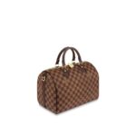 Louis Vuitton SPEEDY BANDOULIÈRE 25