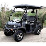 Linhai Big Hammer 200 GVX 200cc Gas Powered Side-by-Side Utility Cart with Custom Rims & Tires