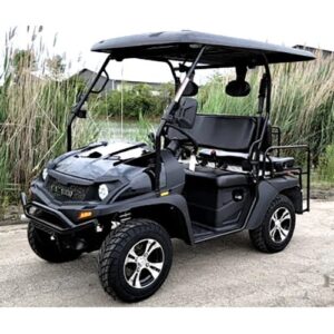 Linhai Big Hammer 200 GVX 200cc Gas Powered Side-by-Side Utility Cart with Custom Rims & Tires
