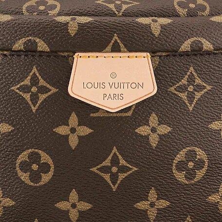 Louis Vuitton BUMBAG - Image 4