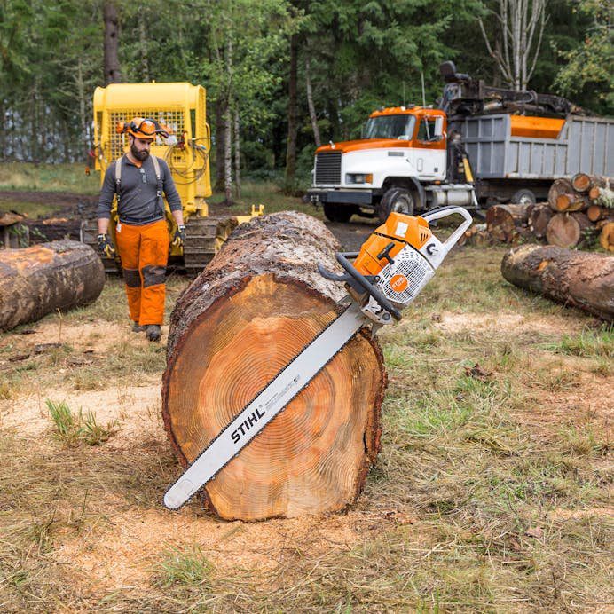 Stihl MS881 Bar Length: 30″ - Image 2