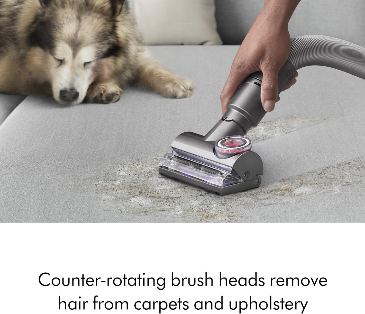 Dyson Ball Animal 3+ - Image 5