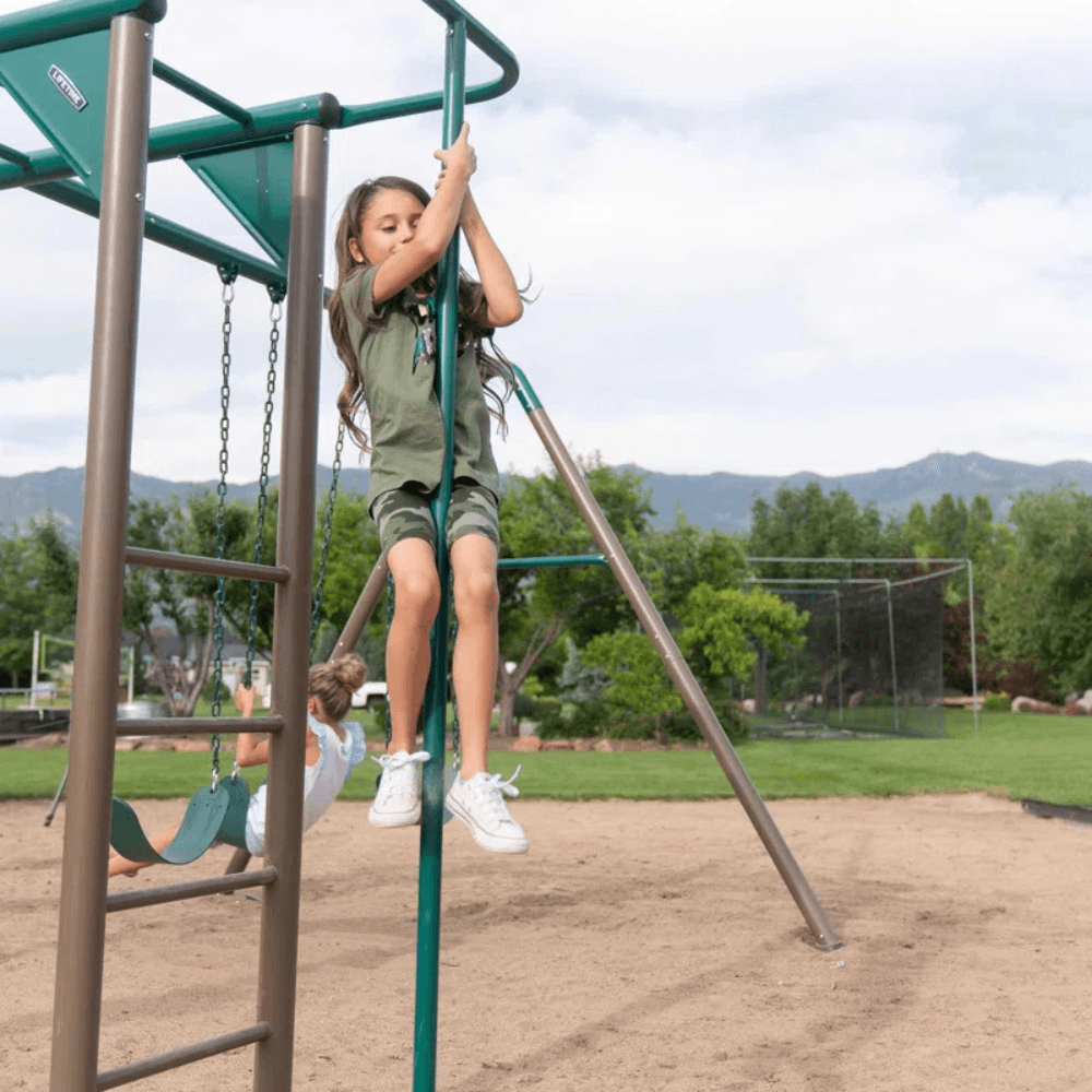 Lifetime Powder Coated Steel Swing Set with 4 Swing(s) , 1 Slide(s) - Image 4