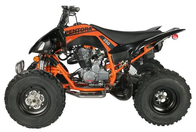 Vitaccii Pentora Racing ATV - Image 3