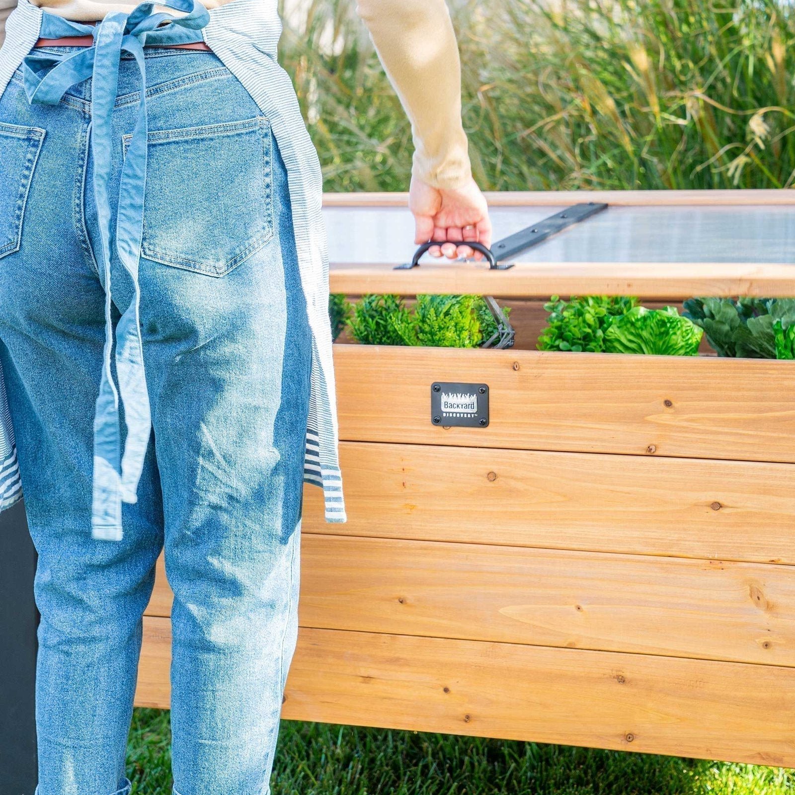 Aggie Cold Frame Box - Image 9