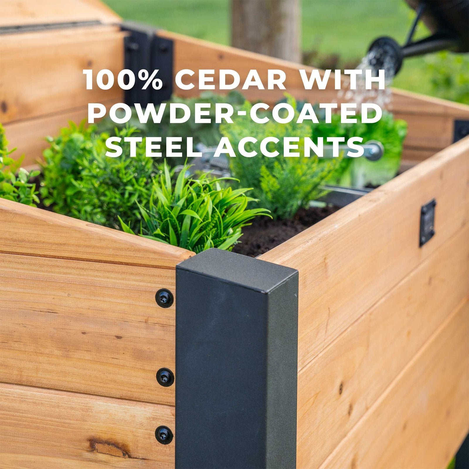Aggie Cold Frame Box - Image 14