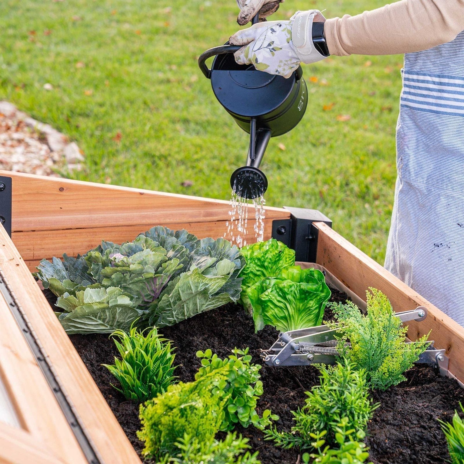 Aggie Cold Frame Box - Image 8